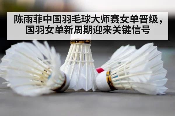 badminton shuttlecock court