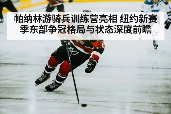 hockey player skating