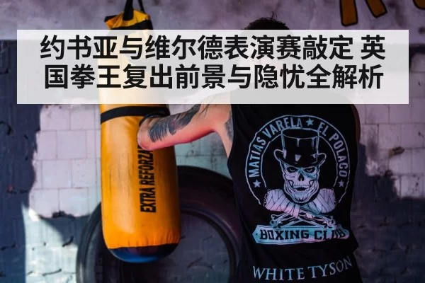 boxer training gym punching bag